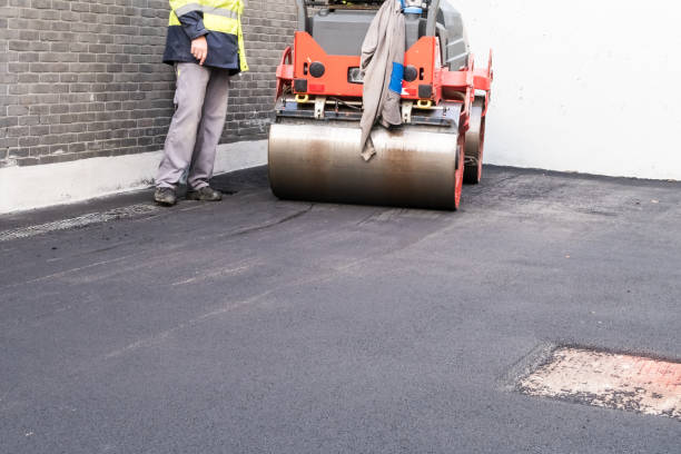 Best Driveway Pressure Washing  in Kings Park West, VA